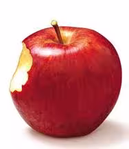 camamordida